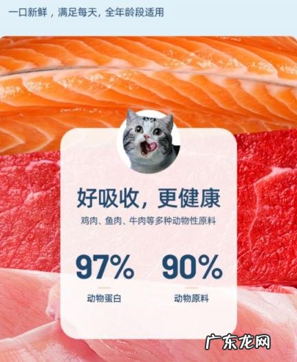 雷米猫粮如何 米洛猫粮怎么样