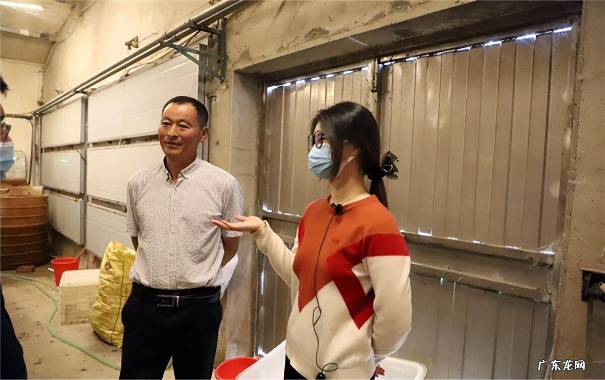 机器大战僵尸游戏下载 挖掘鸡手机版下载