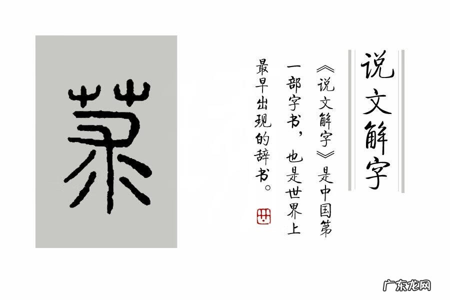 茱萸是一种什么 茱萸怎么读什么意思