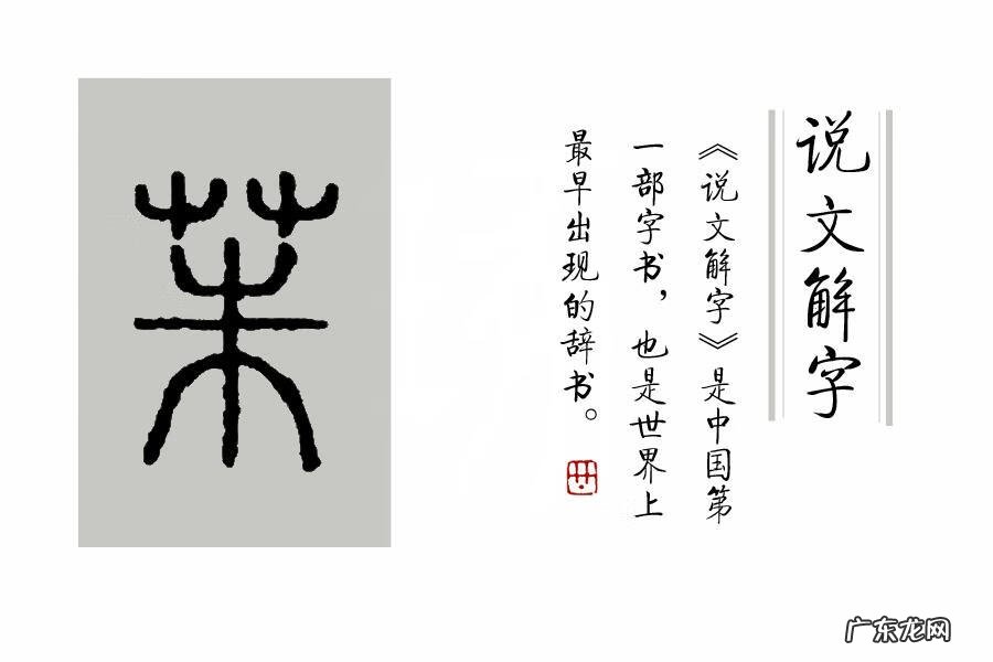 茱萸是一种什么 茱萸怎么读什么意思