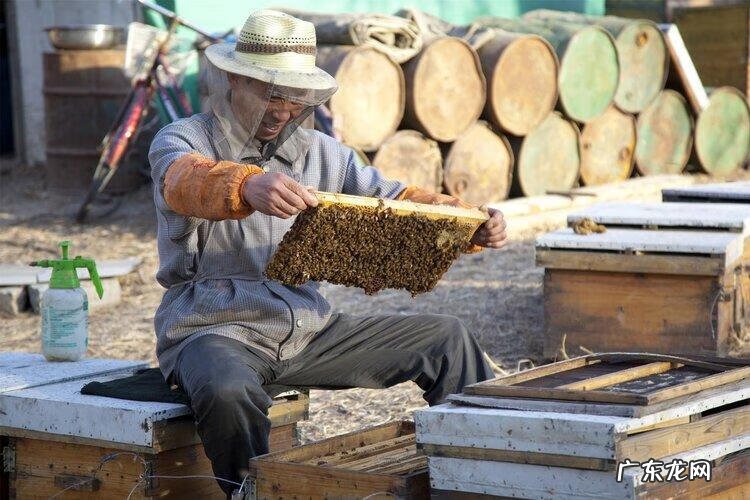 被马蜂蛰了有事吗 马蜂蛰了怎么解决在家
