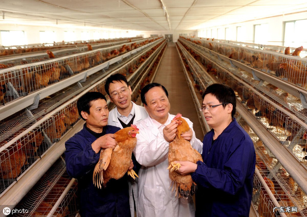 正常人喝葡萄糖水好吗 葡萄糖的作用与功效