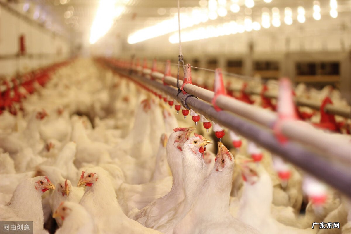 正常人喝葡萄糖水好吗 葡萄糖的作用与功效