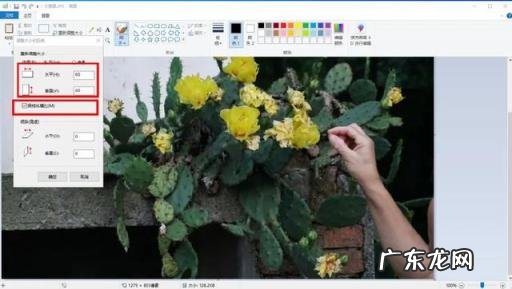 怎么把图片文件变小 还不模糊 怎么办照片内存压缩且画质不变