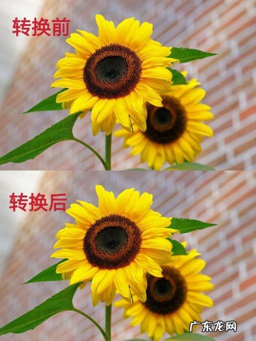 怎么把图片文件变小 还不模糊 怎么办照片内存压缩且画质不变