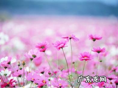 忠言逆耳忠言逆耳是什么意思 忠言逆耳什么意思?