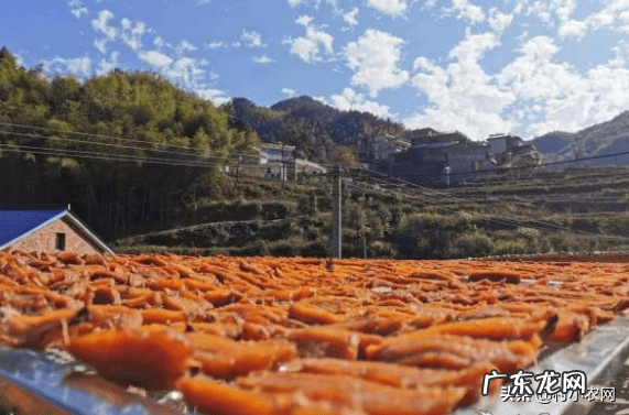 乡村致富 农村致富项目大全