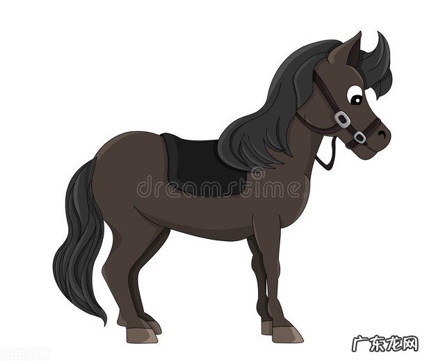 哪个生肖爱钱如命？哪个生肖不在乎钱？