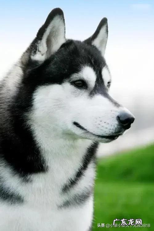 哪个生肖爱钱如命?哪个生肖不在乎钱?