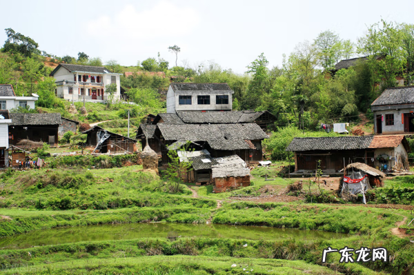 种树风水 窗前种什么树风水好