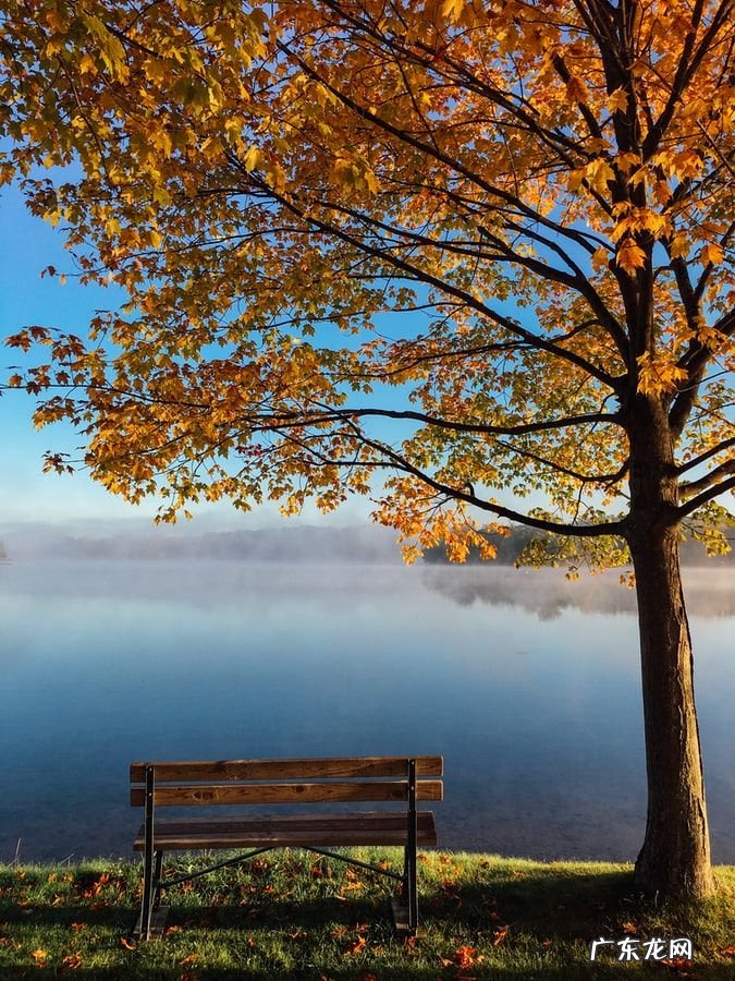 刚刚入坑的摄影小白，要先学习那些知识和技巧？