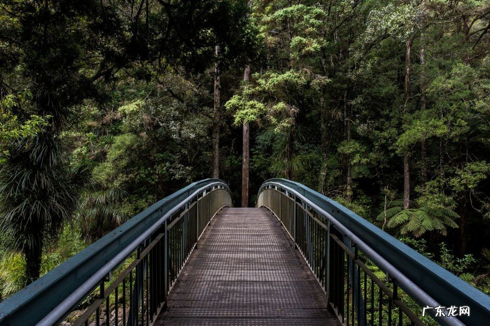 刚刚入坑的摄影小白，要先学习那些知识和技巧？
