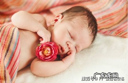 关于火的霸气名字 火字旁的字取名男孩