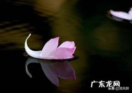 情人节说说怎么发 适合情人节发的说说呢 情人节适合发的说说短句