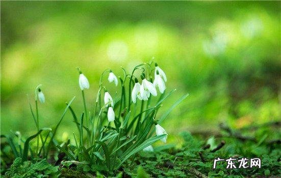 土偏方治红血丝 治疗红血丝的偏方有哪些