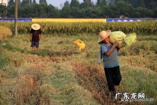 下葬大晴天太阳好不好 下葬后天晴好不好