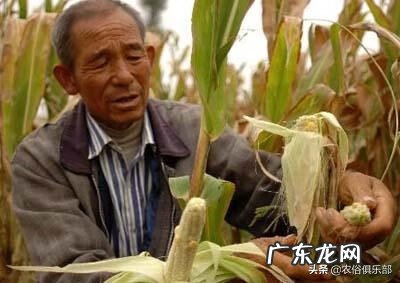 下葬大晴天太阳好不好 下葬后天晴好不好