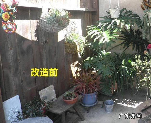 门口做个鱼池会不会影响风水 风水围墙内可以建鱼池吗视频