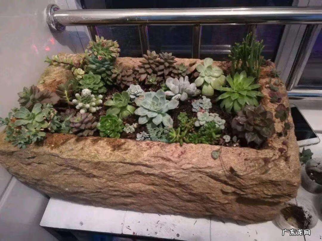 门口做个鱼池会不会影响风水 风水围墙内可以建鱼池吗视频