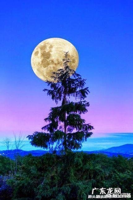 如何用《相聚中秋花好月圆》作首藏头诗？