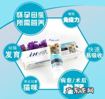 宠物营养膏的功效和作用 宠物营养膏哪个牌子效果好用