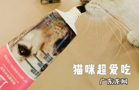 宠物营养膏的功效和作用 宠物营养膏哪个牌子效果好用