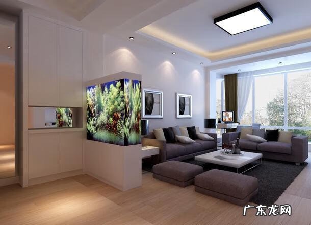 养鱼养几条好关于风水 风水鱼养几天条最好