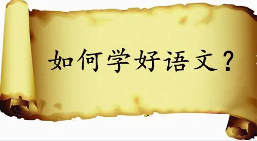 如何解决语文学习中的“不会学”问题?