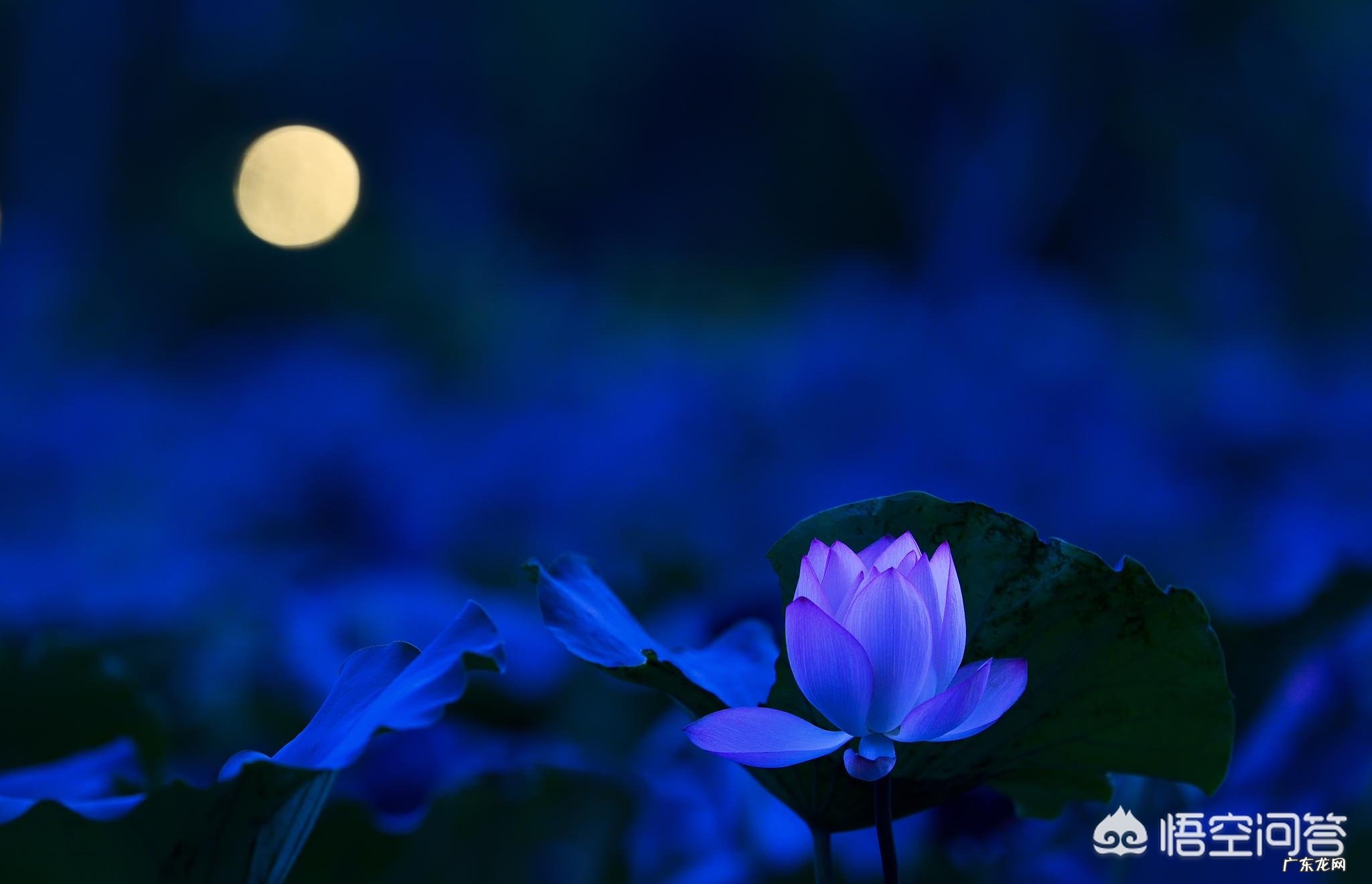 如何写出一篇美文？