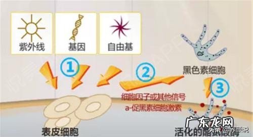 化妆品都有哪些常见东西?