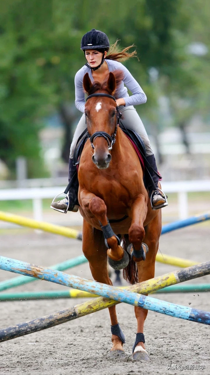 初三,没学习方法,求建议?