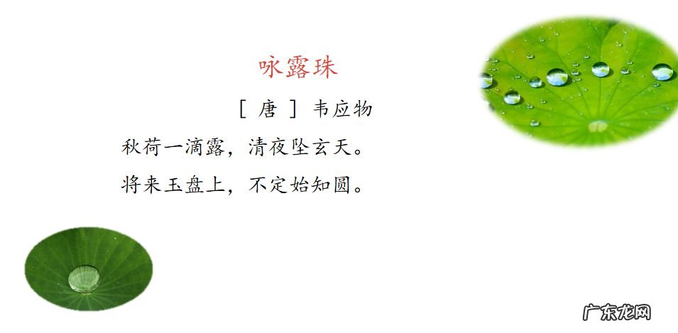 暮江吟古诗的意思是 暮江吟古诗表达的意思