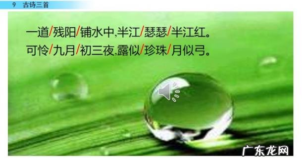 暮江吟古诗的意思是 暮江吟古诗表达的意思