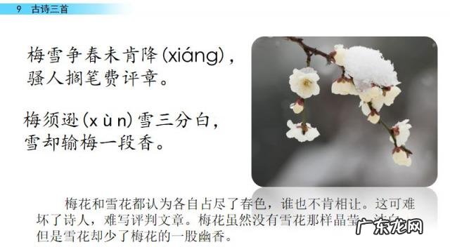 暮江吟古诗的意思是 暮江吟古诗表达的意思