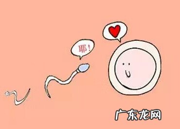 排卵期的症状和表现 排卵期有啥症状