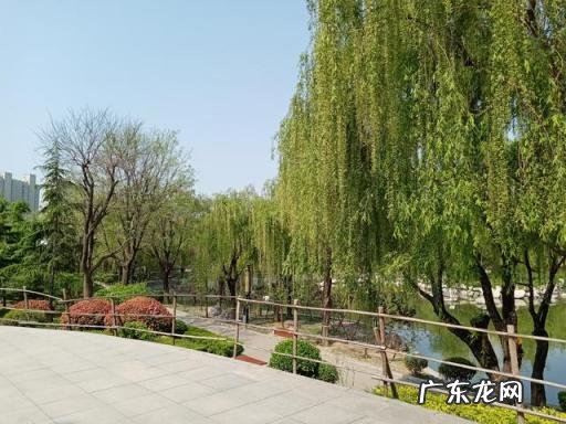 华为荣耀畅玩9a参数配置详情 荣耀手机畅玩9A