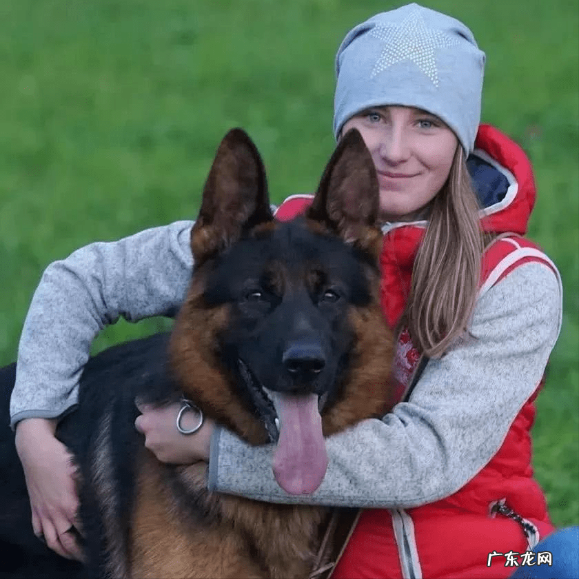 名犬图片 六种风水名犬