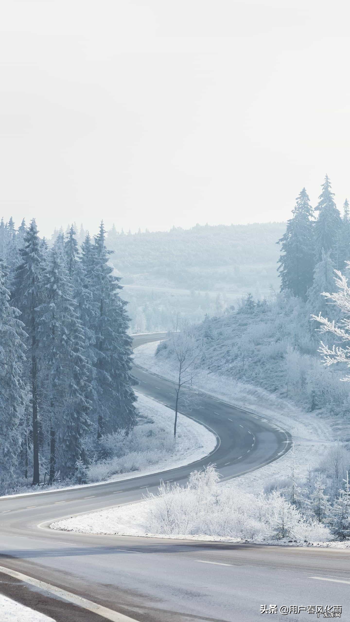 你是否听说过很多具有哲理的句子?