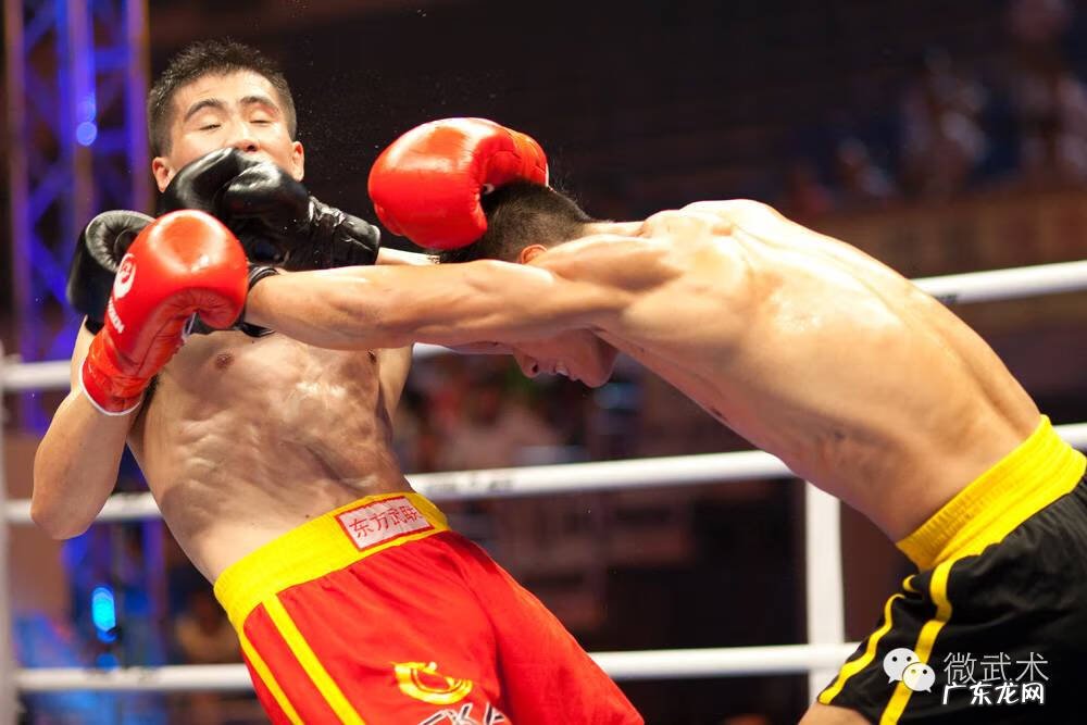 心理行为训练 心理素质训练