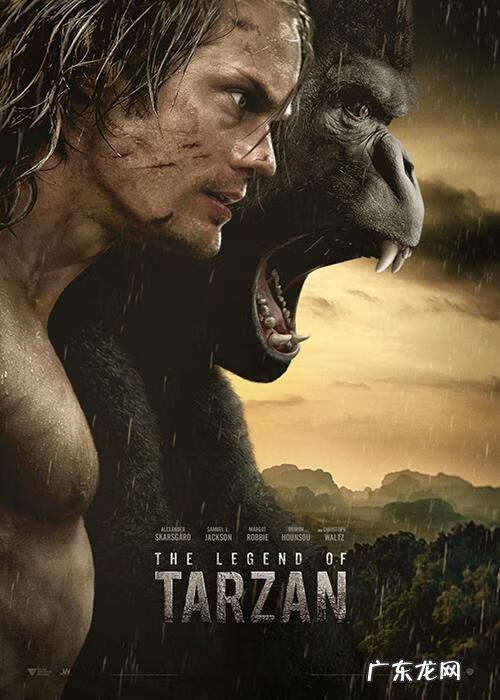 丛林冒险 丛林大冒险