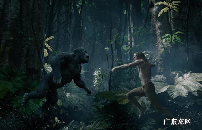 丛林冒险 丛林大冒险