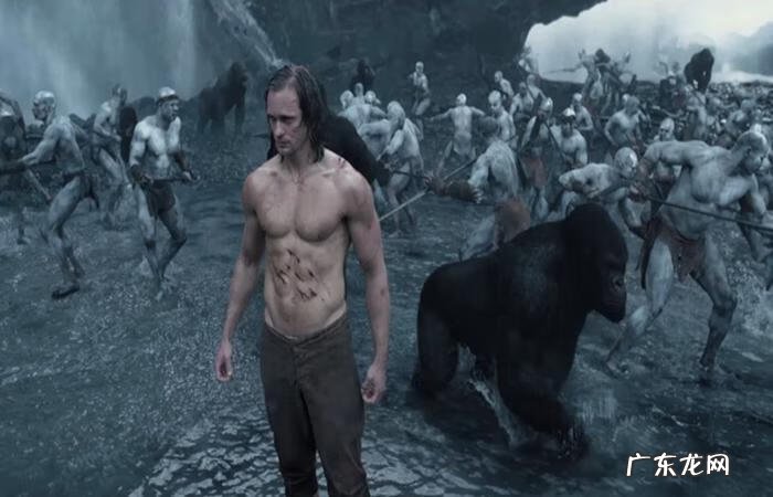 丛林冒险 丛林大冒险