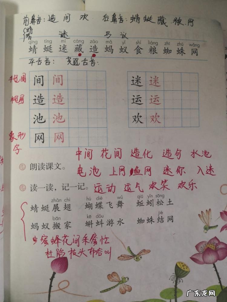 蜓组词语两个 蜓的组词以及释义拼音 蜓组词语两字