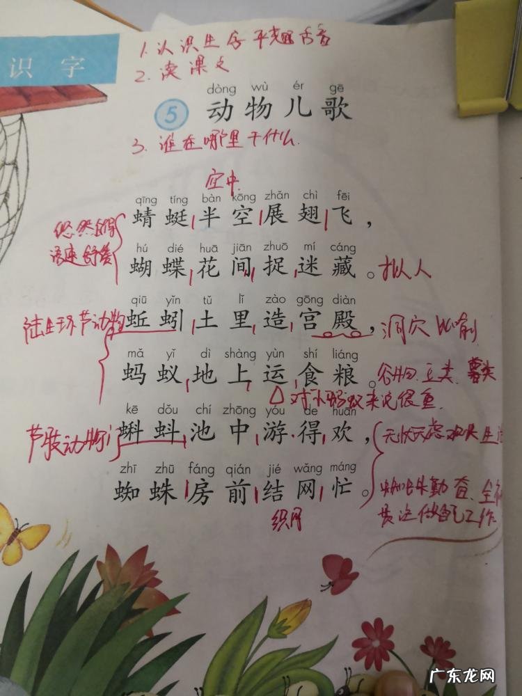 蜓组词语两个 蜓的组词以及释义拼音 蜓组词语两字