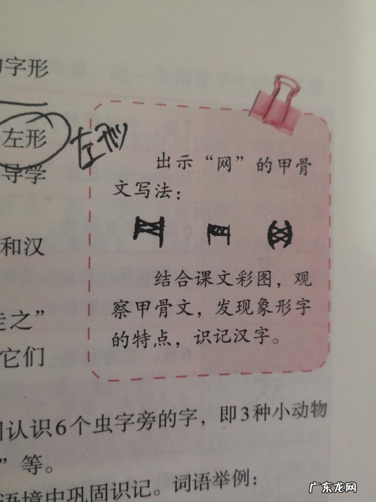 蜓组词语两个 蜓的组词以及释义拼音 蜓组词语两字