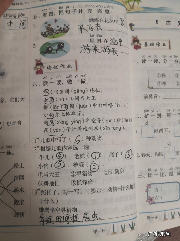 蜓组词语两个 蜓的组词以及释义拼音 蜓组词语两字