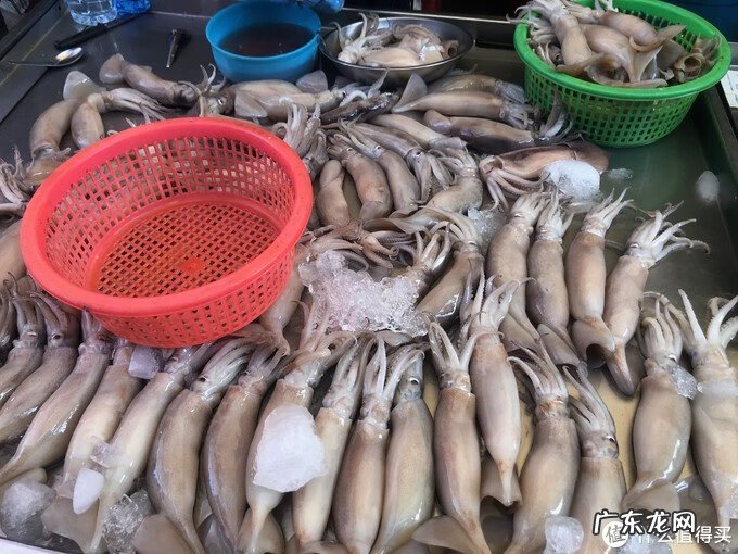 沙奈朵特性 沙朵化妆品怎么样