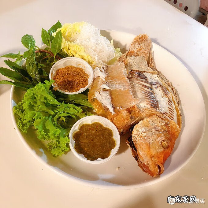 沙奈朵特性 沙朵化妆品怎么样