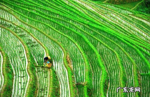 桂林风水龙脉图片