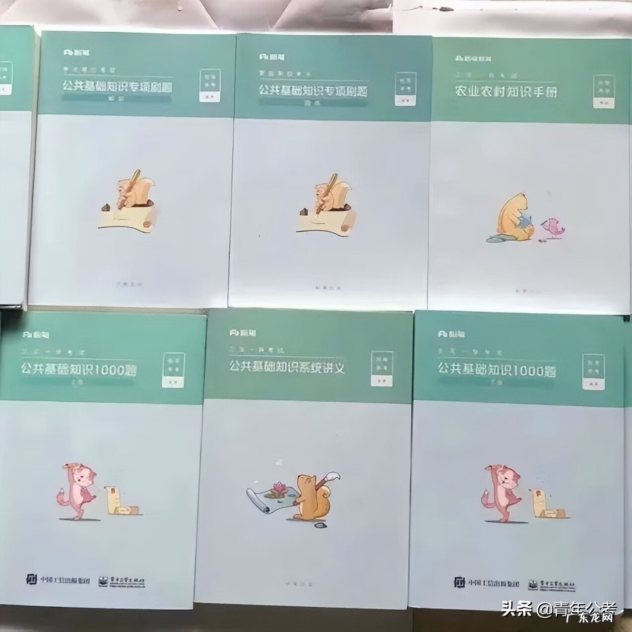 公务员考试辅导资料 公务员考试辅导书籍